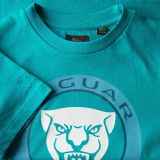 Футболка для мальчиков Jaguar Boys' Growler Graphic T-Shirt, Turquoise, артикул JBTC040TUO