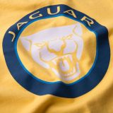Футболка для мальчиков Jaguar Boys' Growler Graphic T-Shirt, Yellow, артикул JCTC040YLO