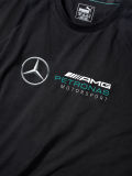 Мужская футболка Mercedes AMG Petronas Motorsport Logo T-Shirt, Men's, Black, артикул B67995431
