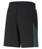 Мужские шорты Mercedes-AMG Formula 1 Men's Sweat Shorts, Black/Green, артикул B67997959