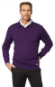 Мужской свитер BMW Collection Men’s Knitted Polo Sweater purple