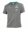 Детская футболка Mercedes-Benz F1 Kids T-Shirt Grey