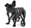 Ремень безопасности для собаки Skoda Dog Safety Belt, размер M