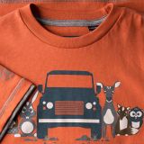 Футболка для мальчиков Land Rover Boys Graphic T-shirt, Orange, артикул LDTC566RDP