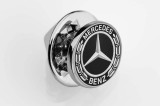 Значок Mercedes-Benz Pin, Laurel Leaf Badge, Silver-coloured / Black, артикул B66953551