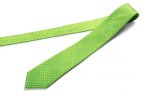 Шелковый галстук Skoda Silk Tie, Green