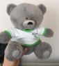 Плюшевый мишка Skoda Plush Toy Teddy Bear, Grey/White/Green