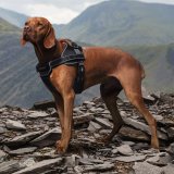 Шлейка для собаки Land Rover Above And Beyond Adjustable Dog Harness, артикул LGPT937MXC