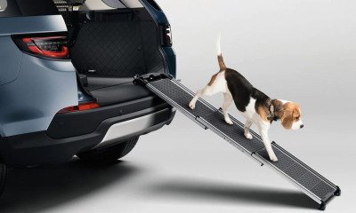 Складной пандус для домашних животных Land Rover Pet Access Ramp NM