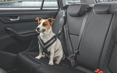 Ремень безопасности для собаки Skoda Dog Safety Belt, размер S