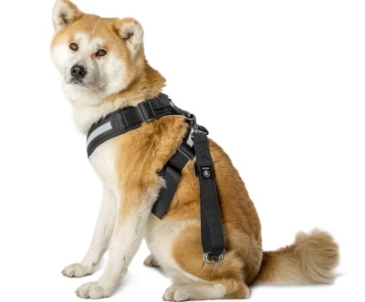 Ремень безопасности для собаки Skoda Dog Safety Belt, размер XL