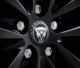 Набор из 4-х карбоновых крышек ступицы литого диска Jaguar Carbon Fibre Wheel Centre Badge, Set of four