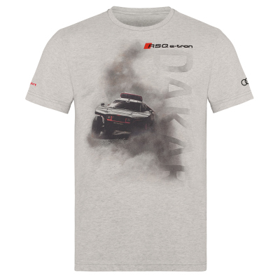 Мужская футболка Audi Sport T-Shirt Dakar, Mens, beige/grey