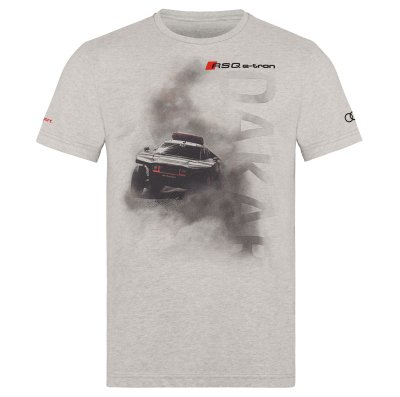 Мужская футболка Audi Sport T-Shirt Dakar, Mens, beige/grey