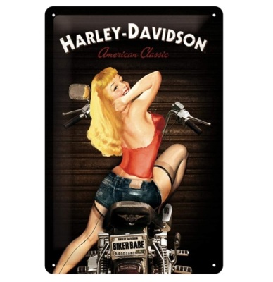 Металлическая пластина Harley-Davidson Biker Babe, Tin Sign, 20x30, Nostalgic Art