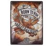 Металлическая пластина Harley-Davidson Born to Ride Eagle, Tin Sign, 30x40, Nostalgic Art
