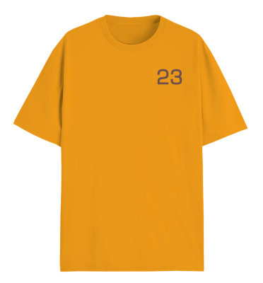 Мужская футболка BMW Motorrad 23 T-shirt, Orange, Men