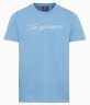 Футболка Porsche Taycan Unisex T-shirt, Frozen Blue Metallic