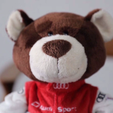 Плюшевый медведь-автогонщик Audi Sport Motorsport Bear, Kids, 35 cm., артикул 3201900100