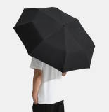 Оригинальный складной зонт Lixiang Genuine Compact Umbrella, Black, артикул Z88-99990181