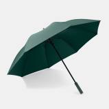 Зонт-трость Lixiang Genuine Automatic Stick Umbrella, Black or White or Green, артикул Z88-99990184