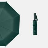 Оригинальный складной зонт Lixiang Genuine Compact Umbrella, Black or White or Green, артикул Z88-99990181