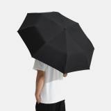 Оригинальный складной зонт Lixiang Genuine Compact Umbrella, Black or White or Green, артикул Z88-99990181