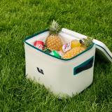 Термосумка Lixiang Genuine Thermo Bag, артикул Z88-99990098
