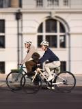 Оригинальный велосипед Lixiang Bicycle, Unisex, 2size, артикул Li146M