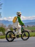 Детский велосипед Lixiang Kid's Bike, артикул Li147
