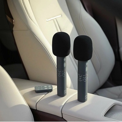 Набор микрофонов Zeekr Microphone Set of 2
