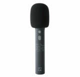 Набор микрофонов Zeekr Microphone Set of 2, артикул Zeekr008