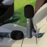 Набор микрофонов Zeekr Microphone Set of 2, артикул Zeekr008