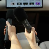 Набор микрофонов Zeekr Microphone Set of 2, артикул Zeekr008