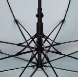 Зонт-трость Zeekr Sky Automatic Stick Umbrella, артикул Zeekr158