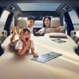 Надувной матрас двухместный для Lixiang L6 Genuine Air Mattress, 2 person, артикул S800000224