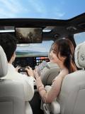 Контроллер для игр Lixiang Official Car Game Controller, артикул BTP-S3P1A