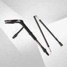 Профессиональные треккинговые палки TANK Telescopic Trekking Sticks, black