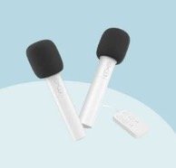 Микрофоны для караоке Haval Karaoke Microphone Set