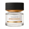 Туалетная вода BMW Amberness EDP Perfume, Unisex, 50 ml.
